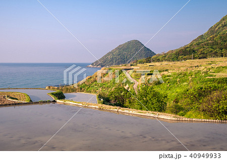 袖志の棚田 40949933