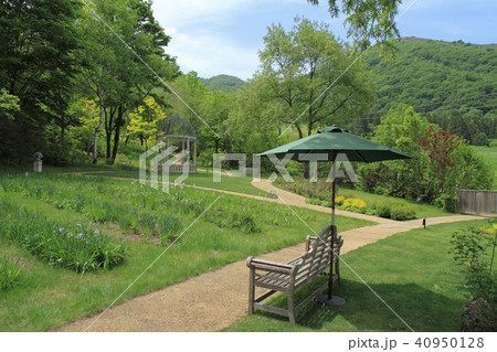 5月のイングリッシュガーデン 40950128