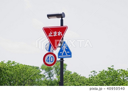 大きめの止まれ標識 道路標識の写真素材