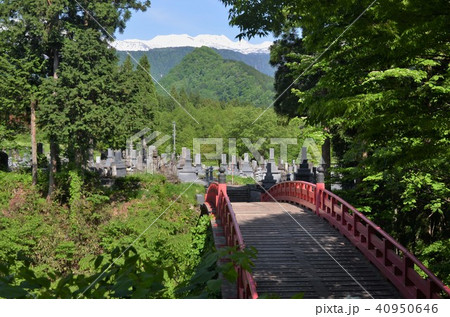 布橋から見た白銀の立山 布橋から見た白銀の立山 40950646