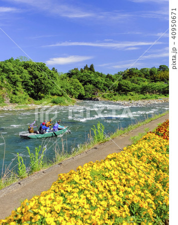 川岸の花畑とラフティング（縦） 40950671