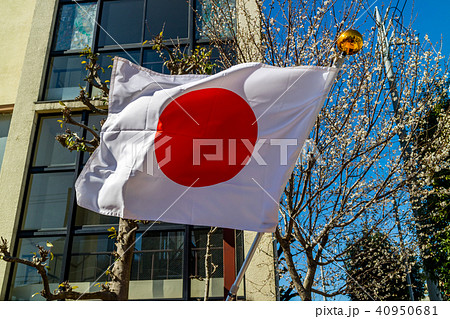 日の丸 40950681