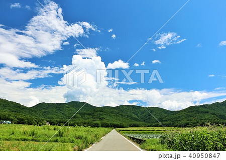 夏の爽やかな青空と風景の写真素材