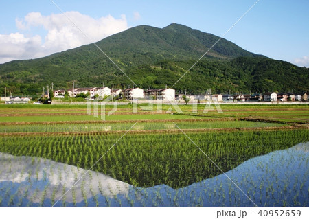 逆さ筑波　水田 40952659