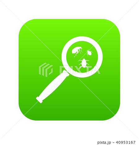 Magnifier and insects icon digital green 40953167