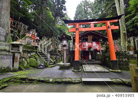 伏見稲荷大社 稲荷山 力松大神 伏見稲荷大社 稲荷山 力松大神 40953905