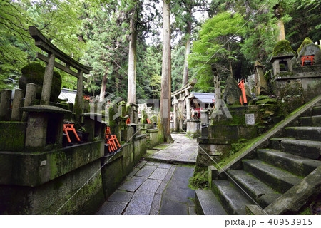 伏見稲荷大社　稲荷山　奥村大神 40953915