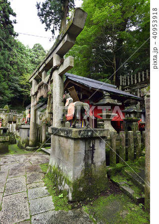 伏見稲荷大社　稲荷山　奥村大神 40953918