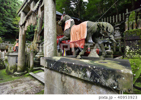 伏見稲荷大社　稲荷山　奥村大神 40953923