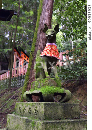 伏見稲荷大社　稲荷山　御膳谷奉拝所 40953938