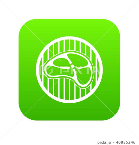 Steak icon digital green 40955246