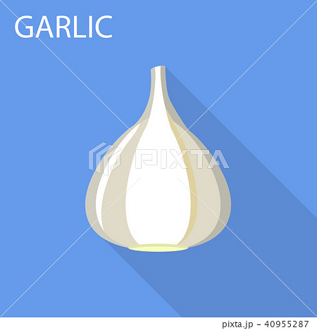 Garlic icon, flat style Garlic icon, flat style 40955287