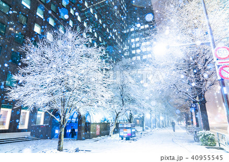 《東京都》大雪・丸の内ビジネス街 《東京都》大雪・丸の内ビジネス街 40955545