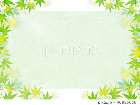 青紅葉 和紙_緑 青紅葉 和紙_緑 40955650