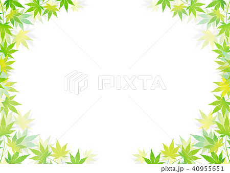 青紅葉 和紙_白バック 40955651
