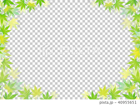 青紅葉 和紙_白バック 40955651