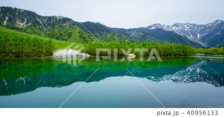 新緑の上高地　大正池 40956133