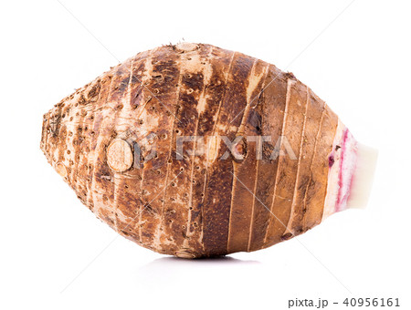 taro roots on white background taro roots on white background 40956161