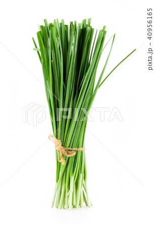 Garlic chives isolated on white background 40956165