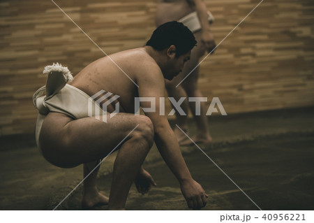 Sumo wrestling Sumo wrestling 40956221