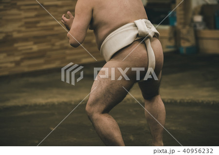 Sumo wrestling 40956232