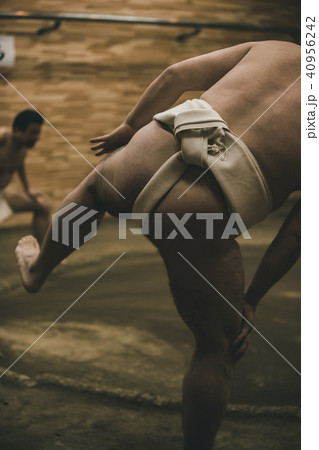 Sumo wrestling 40956242