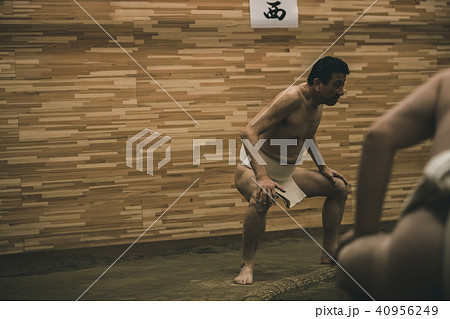 Sumo wrestling Sumo wrestling 40956249