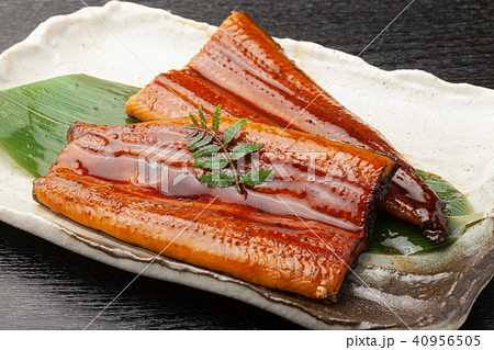鰻の蒲焼 鰻の蒲焼 40956505