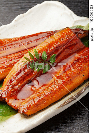 鰻の蒲焼 40956508