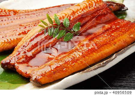 鰻の蒲焼 鰻の蒲焼 40956509