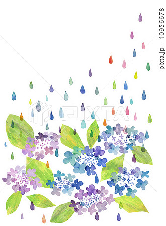 元の紫陽花 イラスト 手書き 美しい花の画像