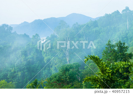 Mist in the morning cover on the top of the hill. Mist in the morning cover on the top of the hill. 40957215