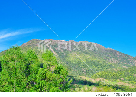 蓼科高原　北横岳 40958664