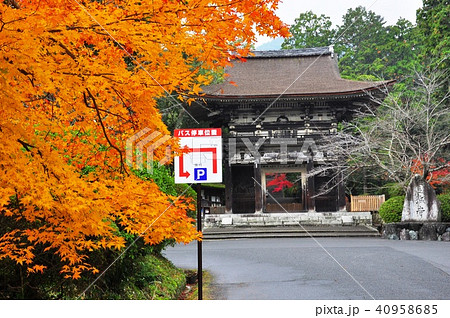 滋賀県三井寺の秋 仁王門と紅葉 滋賀県三井寺の秋 仁王門と紅葉 40958685