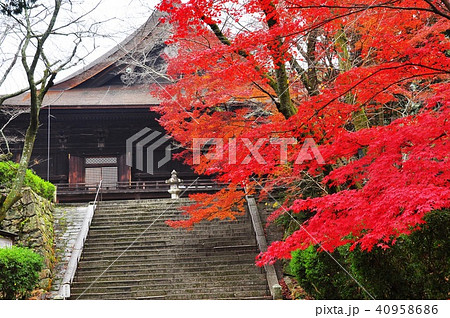 滋賀県三井寺の秋 金堂と紅葉 滋賀県三井寺の秋 金堂と紅葉 40958686