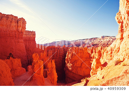 Bryce 40959309