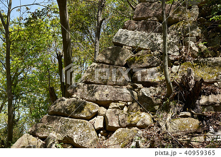 八幡山城跡 八幡山城跡 40959365