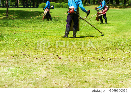 Mower worker cutting grass in green field 40960292