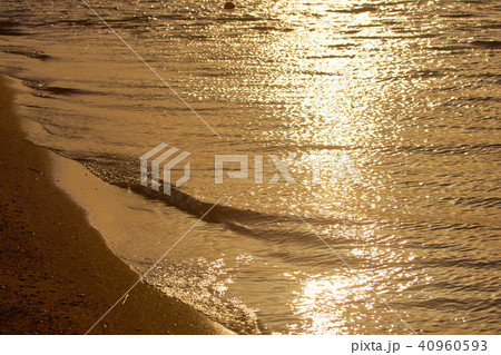 野洲市の琵琶湖の夕景 野洲市の琵琶湖の夕景 40960593