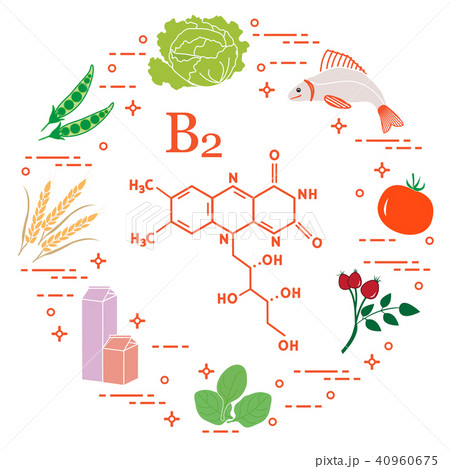 Foods rich in vitamin B2 Fish, peas and other. 40960675