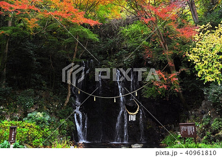 箱根湯本 玉簾の滝と紅葉 箱根湯本 玉簾の滝と紅葉 40961810