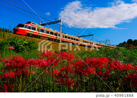 彼岸花を行くLSE 40961888