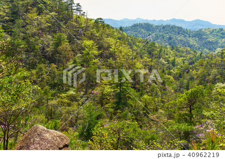 金勝アルプスからの風景 金勝アルプスからの風景 40962219