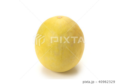 ハネデューメロン ハネデューメロン 40962329