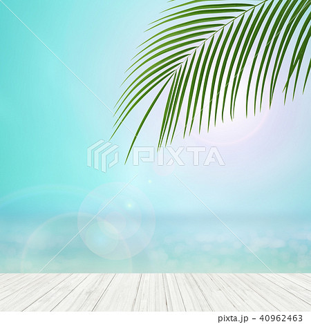 背景-南国-海-空 40962463