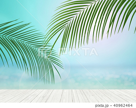 背景-南国-海-空 40962464