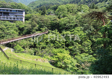 新緑の鬼怒川温泉（滝見橋） 40962493