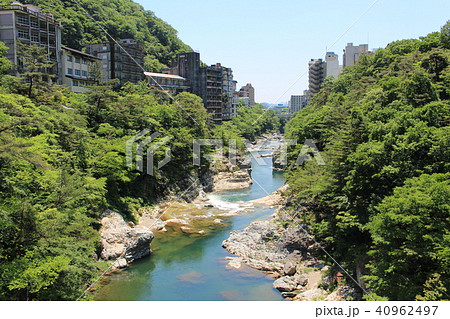 新緑の鬼怒川温泉(瀧見橋から望む鬼怒川) 新緑の鬼怒川温泉(瀧見橋から望む鬼怒川) 40962497