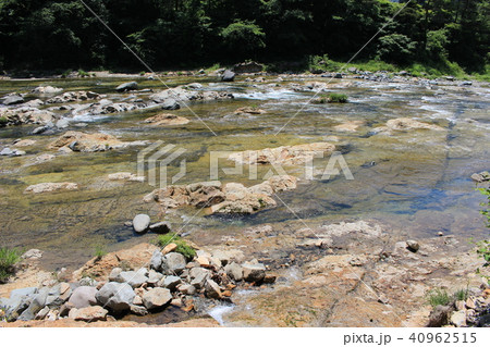 春の鬼怒川温泉（大滝河川遊歩道の風景） 40962515