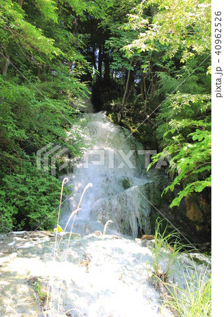 春の鬼怒川温泉（大滝河川遊歩道の小さな滝） 40962526